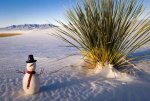 'Merry Christmas' by Scott Sharick (White Sands National Monument) 12-25-08.jpg